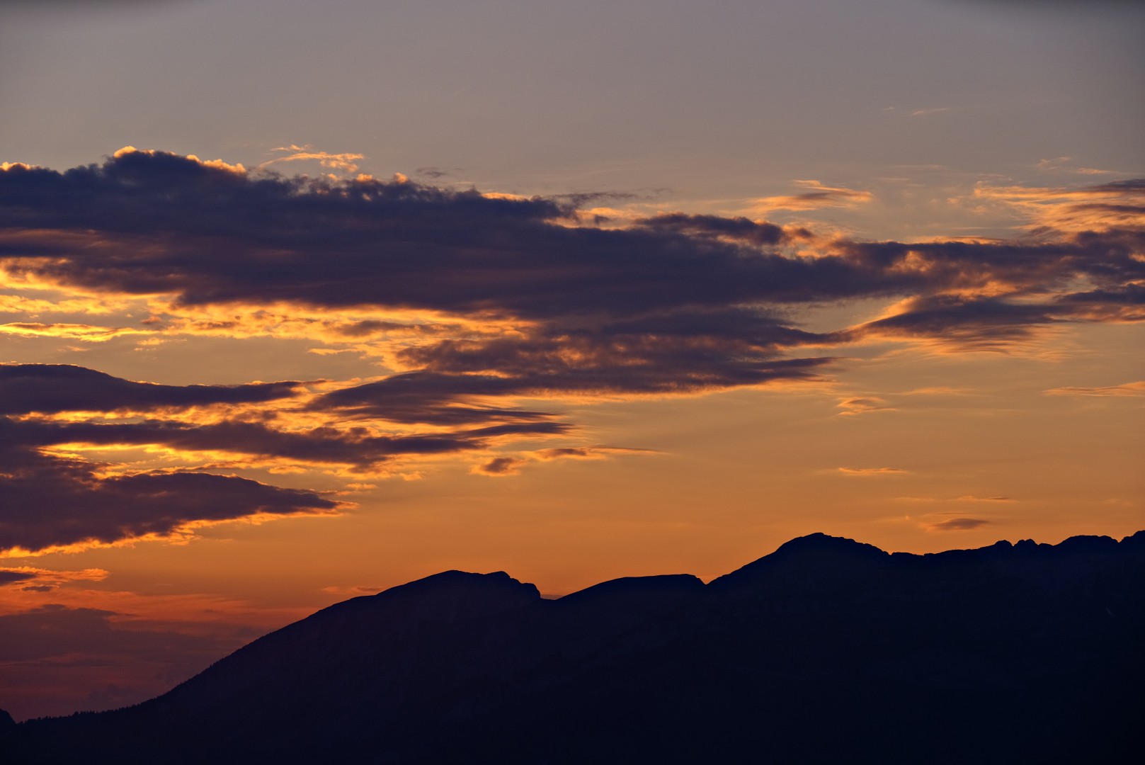 _DSC1239-Edit