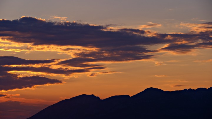 _DSC1239-Edit