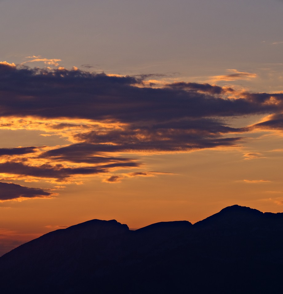_DSC1239-Edit