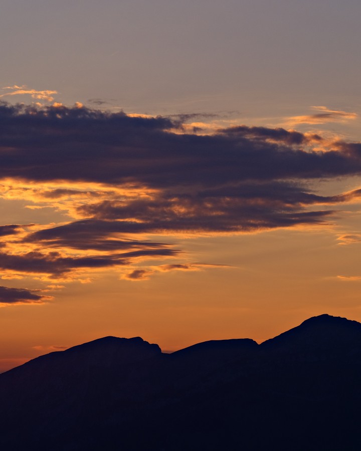 _DSC1239-Edit